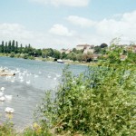 der Rhein bei Breisach